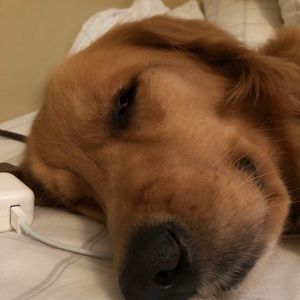 Meet your Posher, Nathan